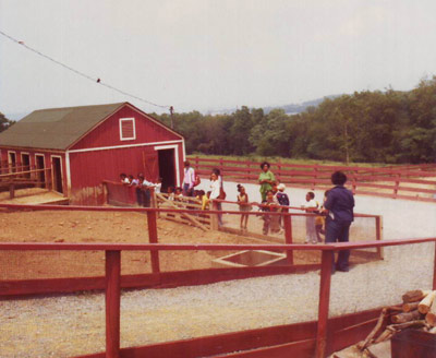 Several adults and a group of kids stand along a red fence by a barnyard.