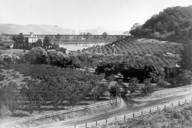 Buildings, a road, and a railroad trestle stand out from a landscape that is quilted with trees.