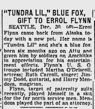 Newspaper article with headline "'TUNDRA LIL,' BLUE FOX, GIFT TO ERROL FLYNN"