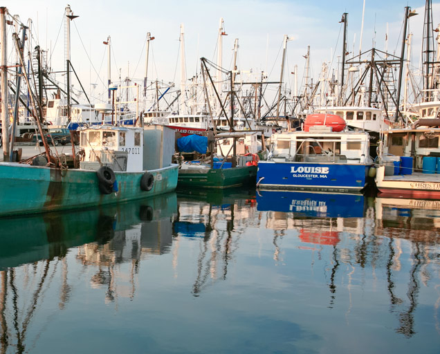 Colorful fishing boats are pressed closely around the dock on still water.