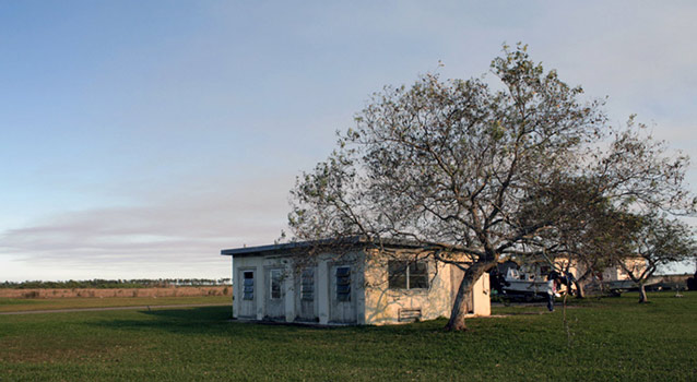 A round, airy tree leans over a rectangular one-story white building in a flat, open landscape. A round, airy tree leans over a rectangular one-story white building in a flat, open landscape.