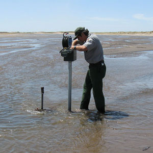 A ranger uses a pole to measure the amount of ground water.