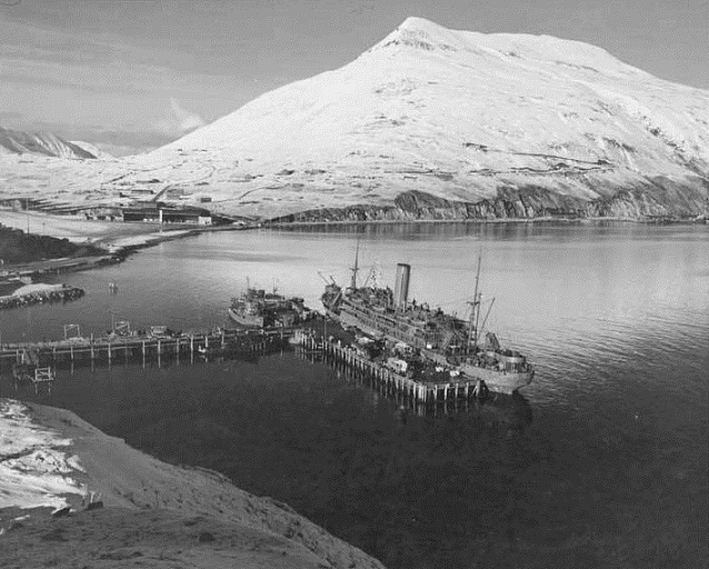 Harbor in foreground with snow covered mountain in background.