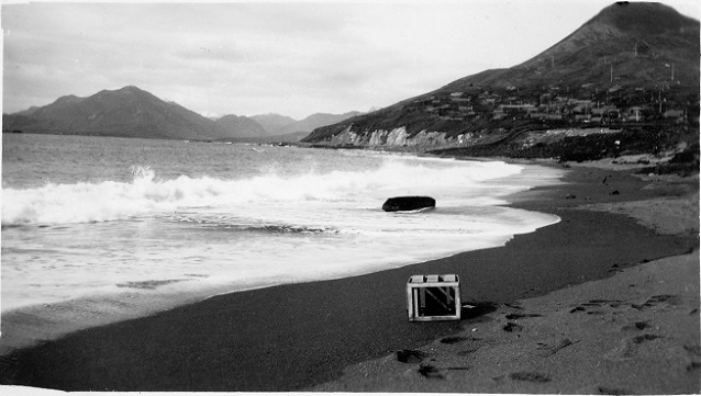 Beach and mountains