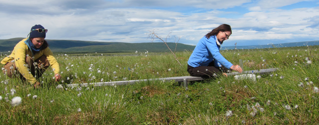 Two women sitting in the tundra doing research