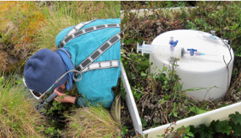 Researcher collecting water using long needle. Plastic chamber on tundra to collect gases.