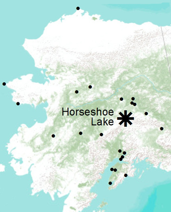 Map of Alaska showing the study site - Horseshoe Lake in Denali