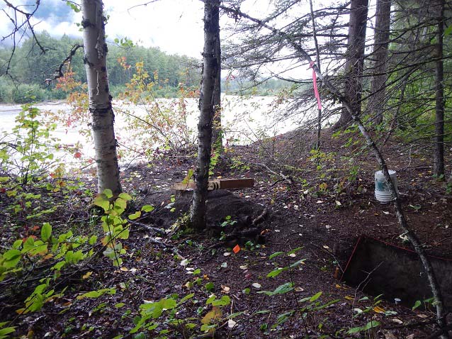 Forest near river with archeological pit