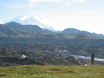 Hiker admiring the gorgeous scenery of the Muldrow Glacier and Denali. Hiker admiring the gorgeous scenery of the Muldrow Glacier and Denali.