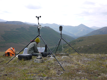 NPS employee setting up a sound station in Denali National Park. NPS employee setting up a sound station in Denali National Park.