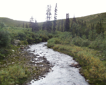 a spring-fed stream