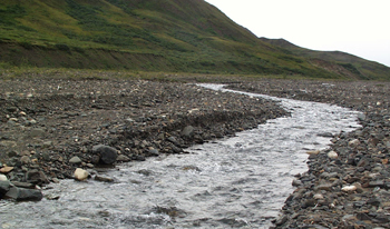 a small unstable stream cuts through a rocky area