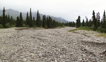 Intermittent stream - dry creek bed