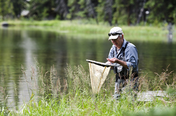 A researcher using a net to collect samples from a stream.