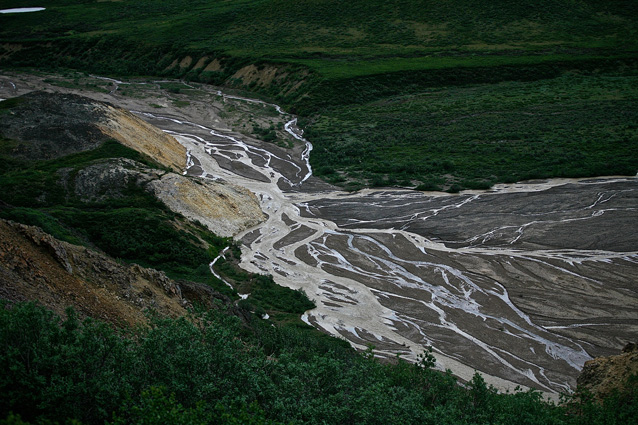 Braided, glacial river in Denali National Park Braided, glacial river in Denali National Park