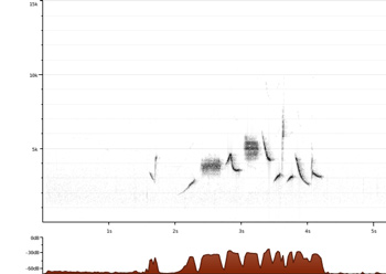 a spectrogram that of a fox sparrow song