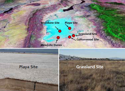 Overview of five study sites (top), barren, sandy playa (bottom left), and grassland (bottom right)