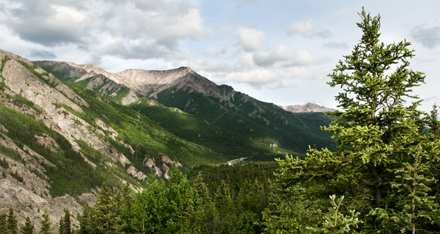 rocky mountainsides partially covered by spruce trees