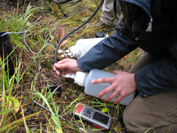 researcher collects soil water along the Denali park road researcher collects soil water along the Denali park road