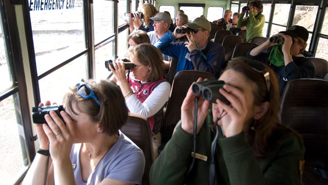 a group of visitors on a bus look out their windows