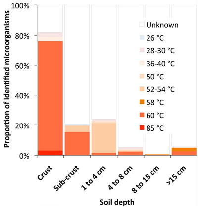 Graph of proportions of microorganisms, soil depths, and optimal temperatures.