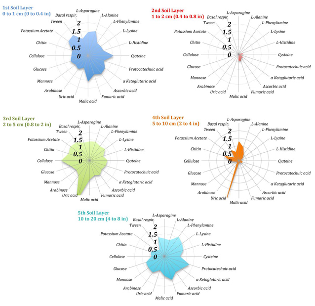 Graphs of soil community-level physiological profiles for each soil layer