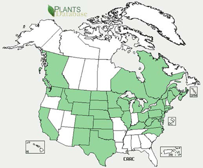 Distribution map for spiny plumeless thistle Distribution map for spiny plumeless thistle