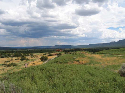 Landscape with a uniform, green foreground consisting of kochia, an aggressive weed. 