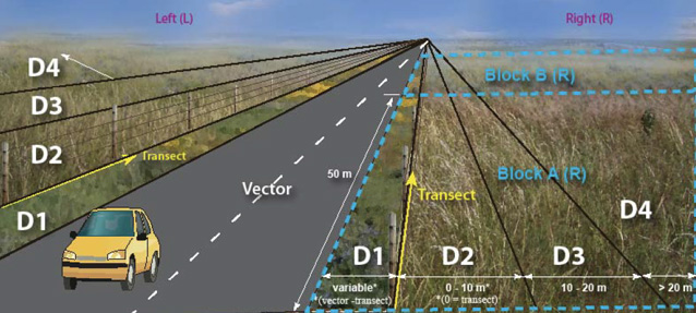 Illustration of a monitoring transect and distance classes using a road as a sample vector. Illustration of a monitoring transect and distance classes using a road as a sample vector.