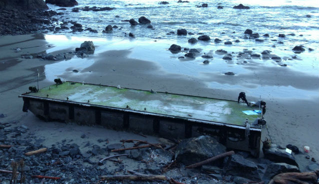 Floating dock on beach from Japan tsunami debris