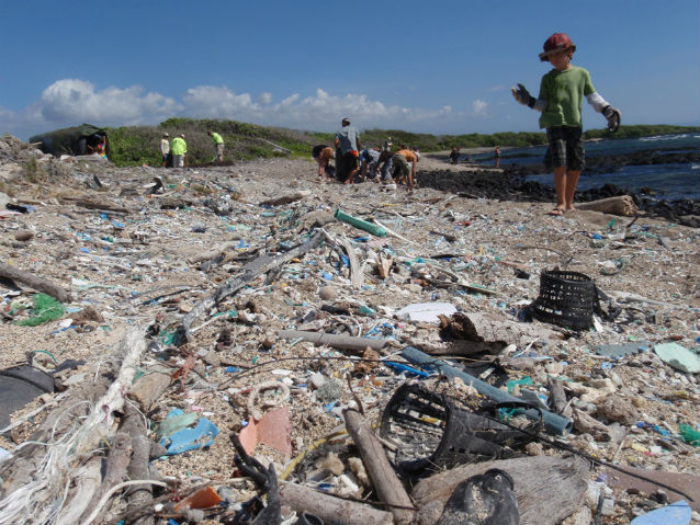 people pickup up debris on beach