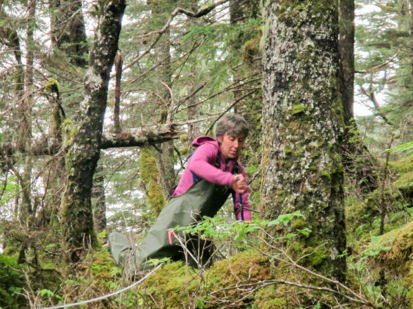 woman taking a tree core sample in forest