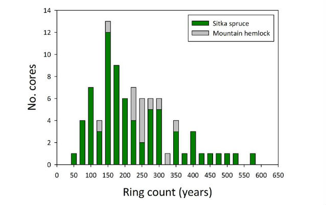 figure of ring count in Sitka spruce and Mountain hemlock