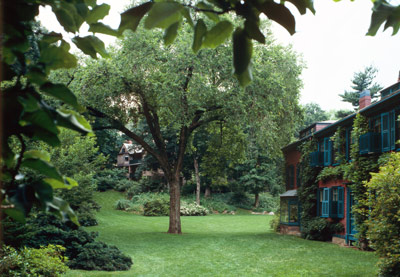 A mature, arching elm shades a grassy lawn near a two-story house.