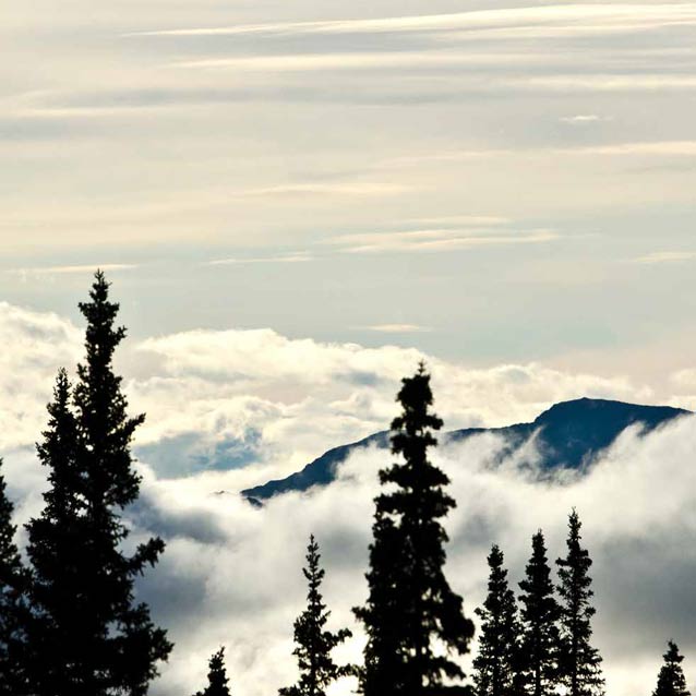 misty clouds partly covering a mountain, trees in the foreground