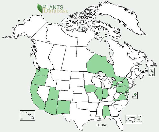 Distribution map for purple starthistle