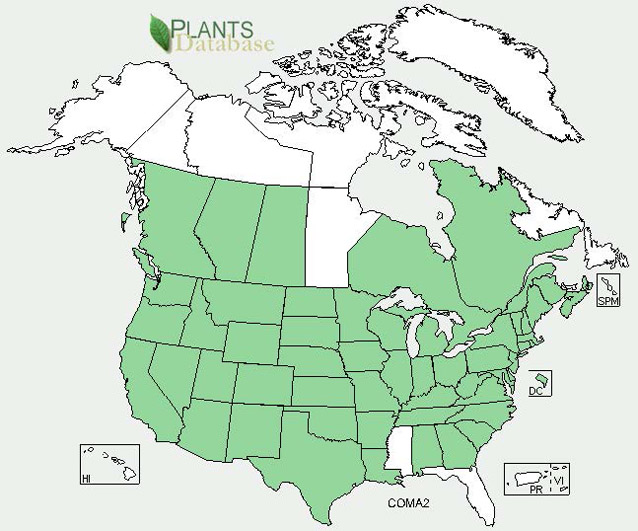 Distribution map for poison hemlock Distribution map for poison hemlock
