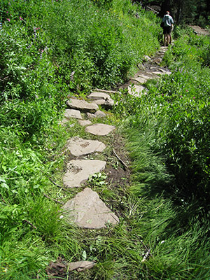 stepping stones on the trail