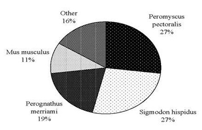 Pie chart of the relative abundance of small mammal species based on numbers captured
