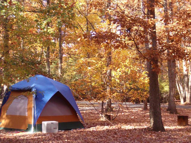 a tent in a forest a tent in a forest