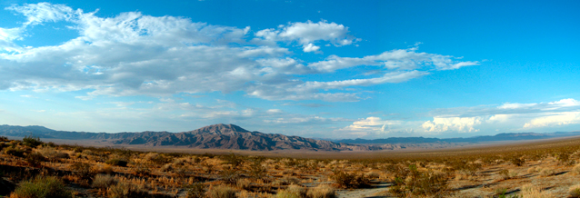 panoramic view of a desert landscape