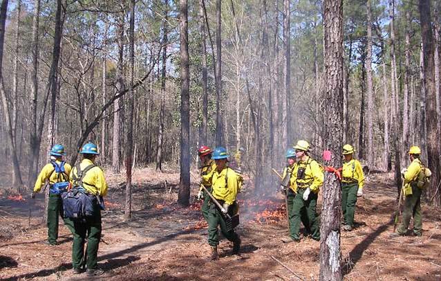 Wildland fire operations at Big Thicket National Preserve