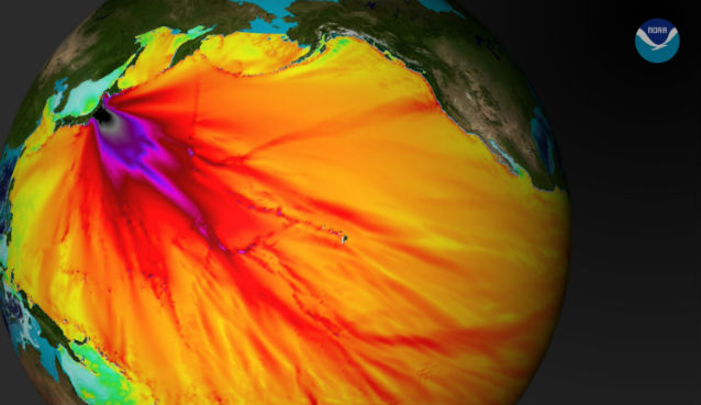 wave height image from Japanese tsunami