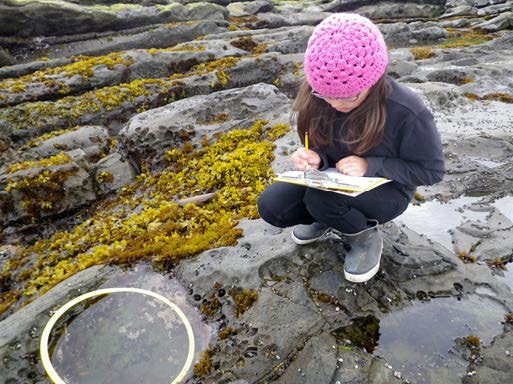 girl taking notes in intertidal area