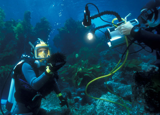 man underwater holding urchin