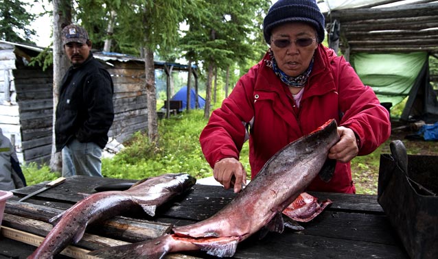a subsistence user fillets a fish