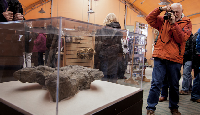 a photographer takes a picture of a dinosaur track in an exhibit case a photographer takes a picture of a dinosaur track in an exhibit case