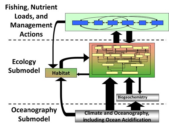diagram of ecosystem model