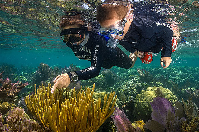 Divers in Dry Tortugas