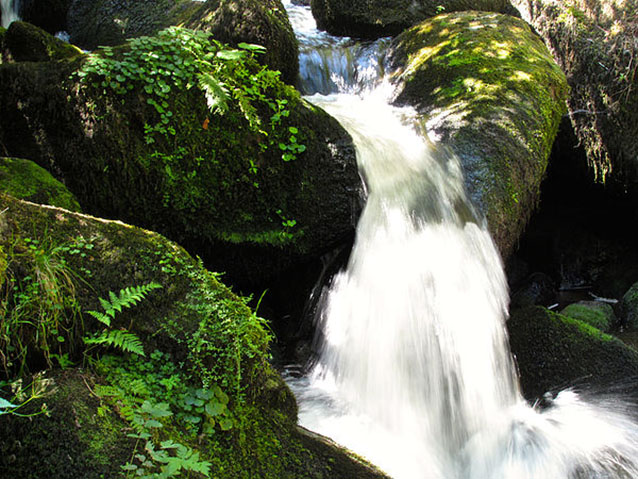 A small waterfall rushes over mossy rocks